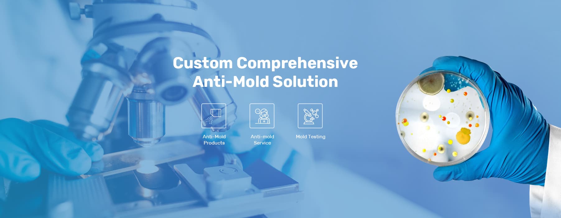 Custom Anti-mold Solution